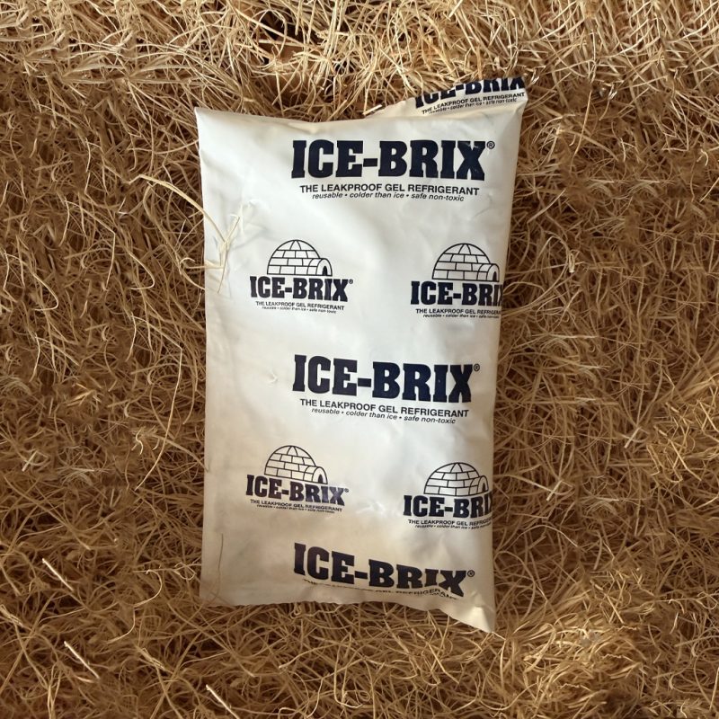 Extra Ice Bricks
